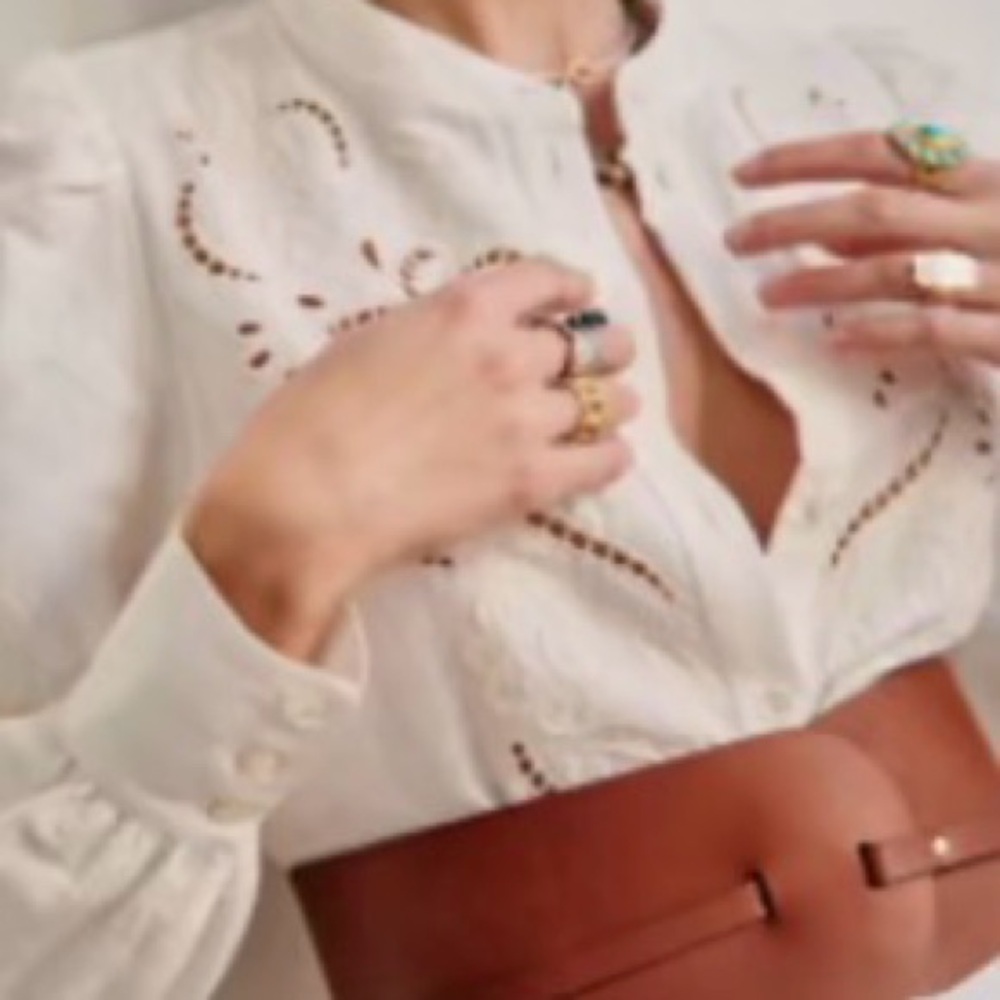 Sezane Brown Wide Leather Waist Belt